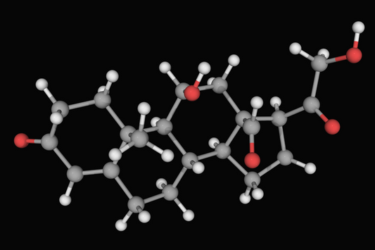 Rose Answers: Changes in Masturbation from Hormone Therapy