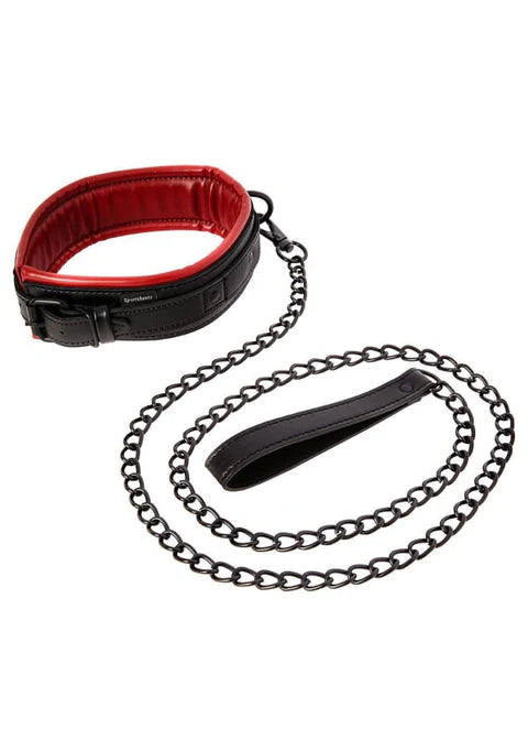 Adjustable Collar & Leash Red/Black
